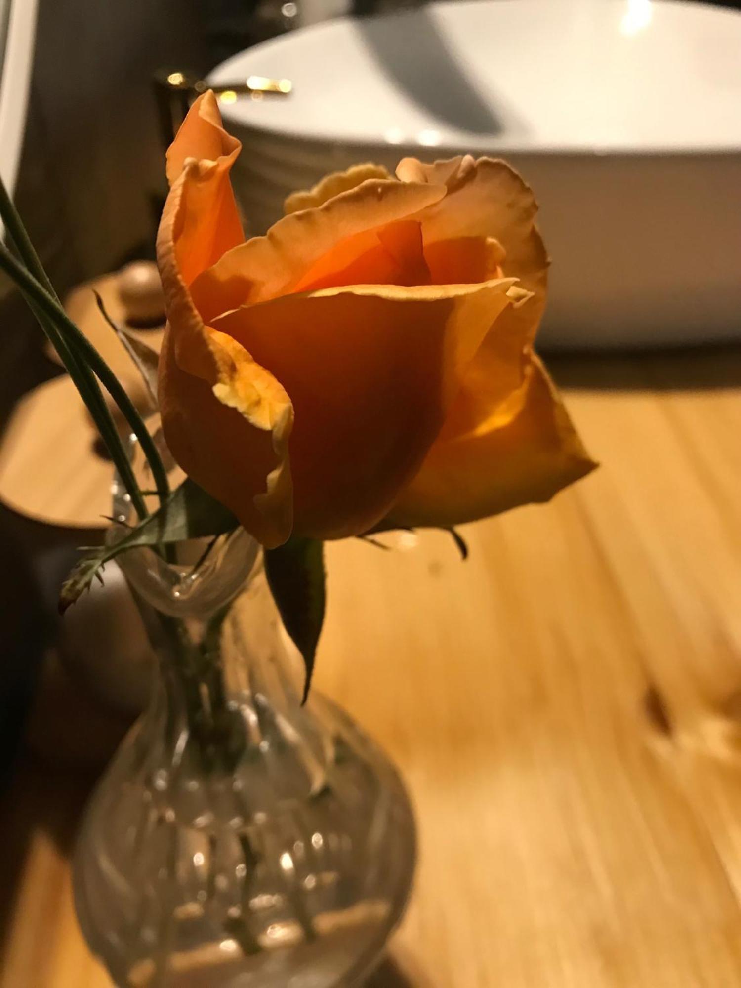 Kojsko La Cubanita B&B 외부 사진