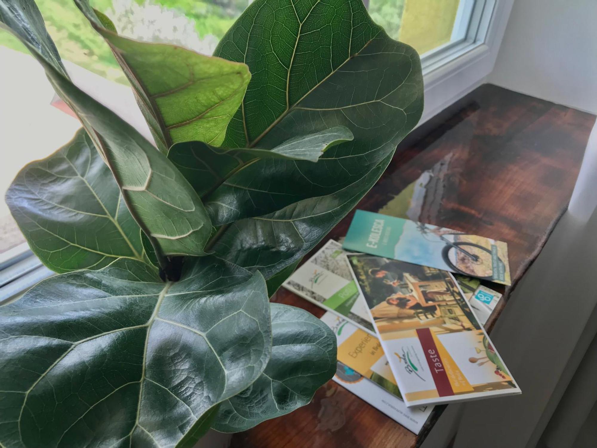 Kojsko La Cubanita B&B 외부 사진